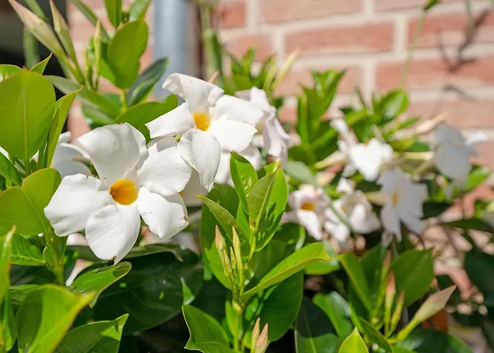 Appartamento Ostseelaune *